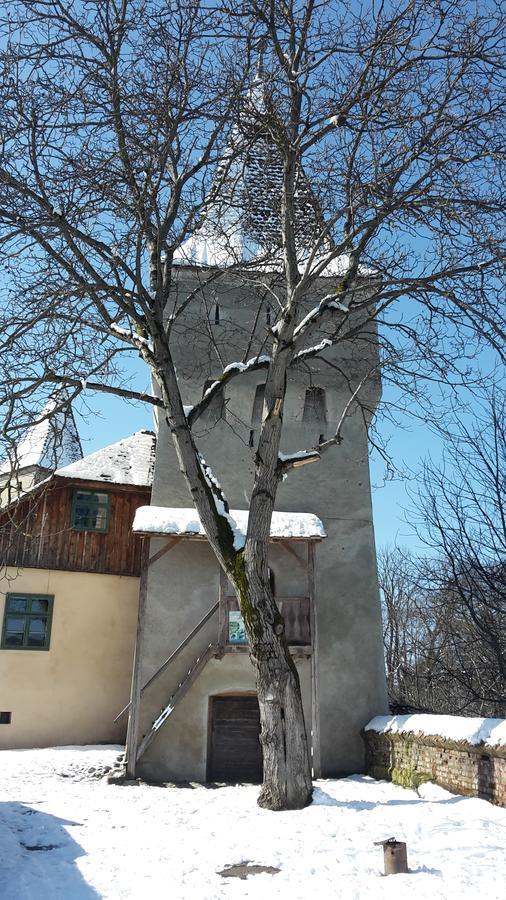 Casa Marcus Apartment Sighisoara Ngoại thất bức ảnh