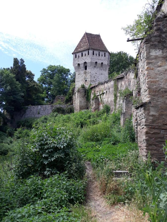 Casa Marcus Apartment Sighisoara Ngoại thất bức ảnh